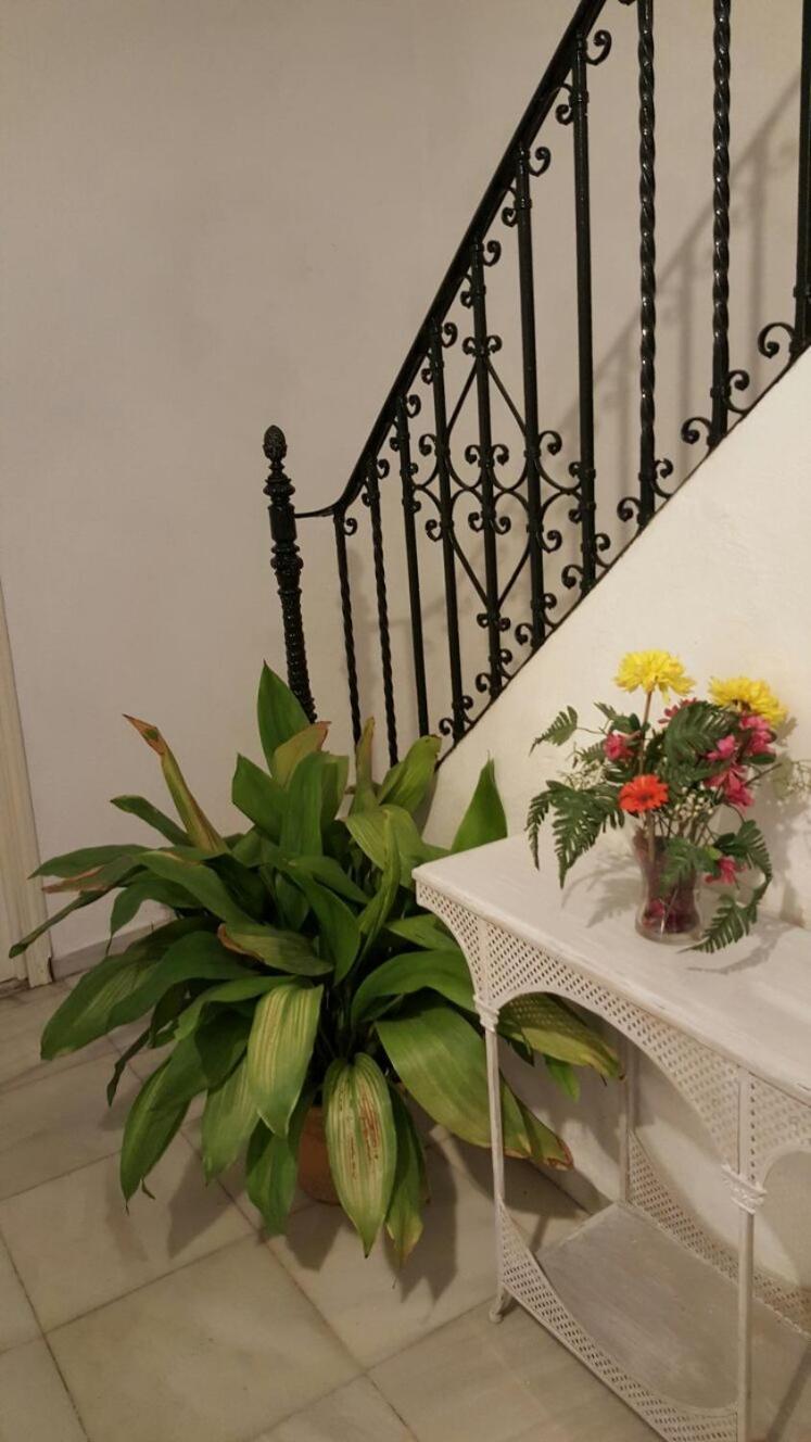 En El Corazon De Sevilla 外观 照片
